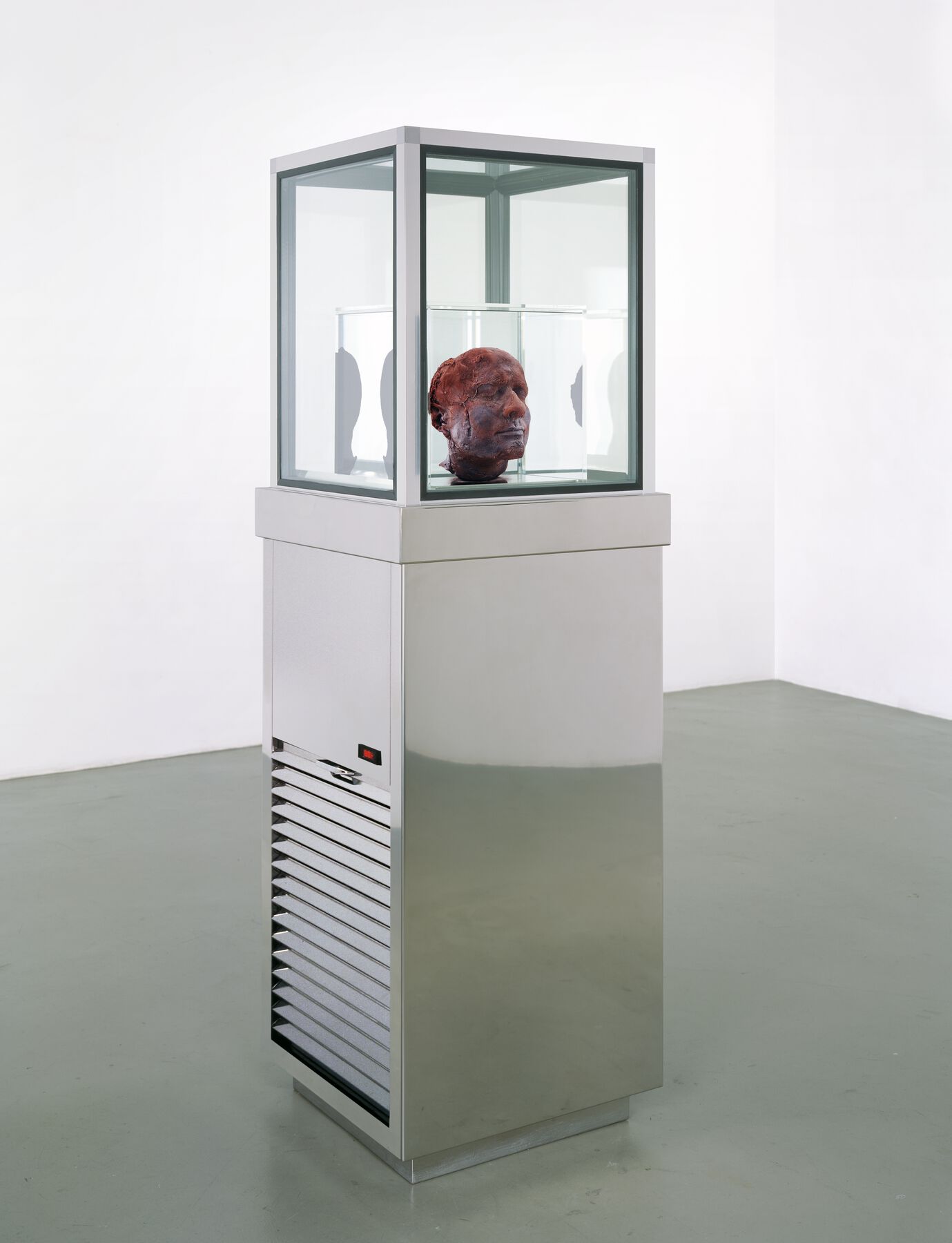 A head sculpture made from blood that is textured like red meat contained in a specialized refrigerated displaying cabinet