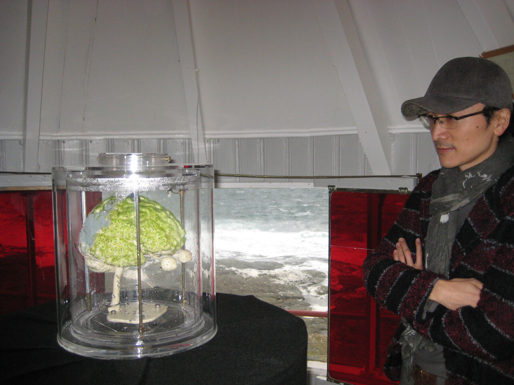 Artist in lab overlooking beach looks at glass-and-metal case; inside is green brain-shaped sculpture on white pedestal