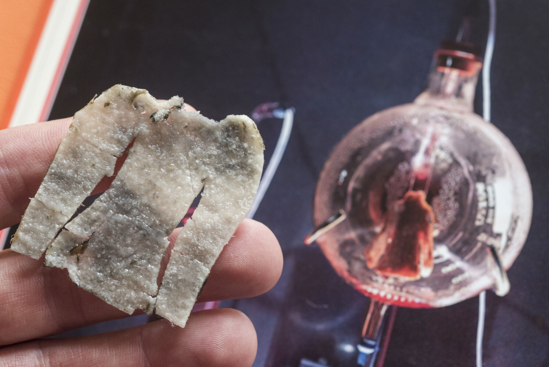 Bumpy, slightly-gelatinous white sample in person’s fingers; blurred in background is red spherical jar with red jelly-like sample