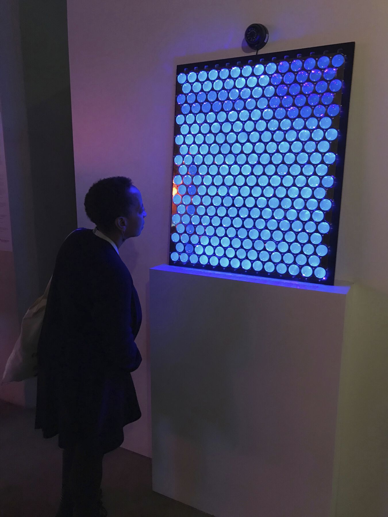 Person in a dark room looking at luminescent grid of blue circular vessels in black case atop plinth