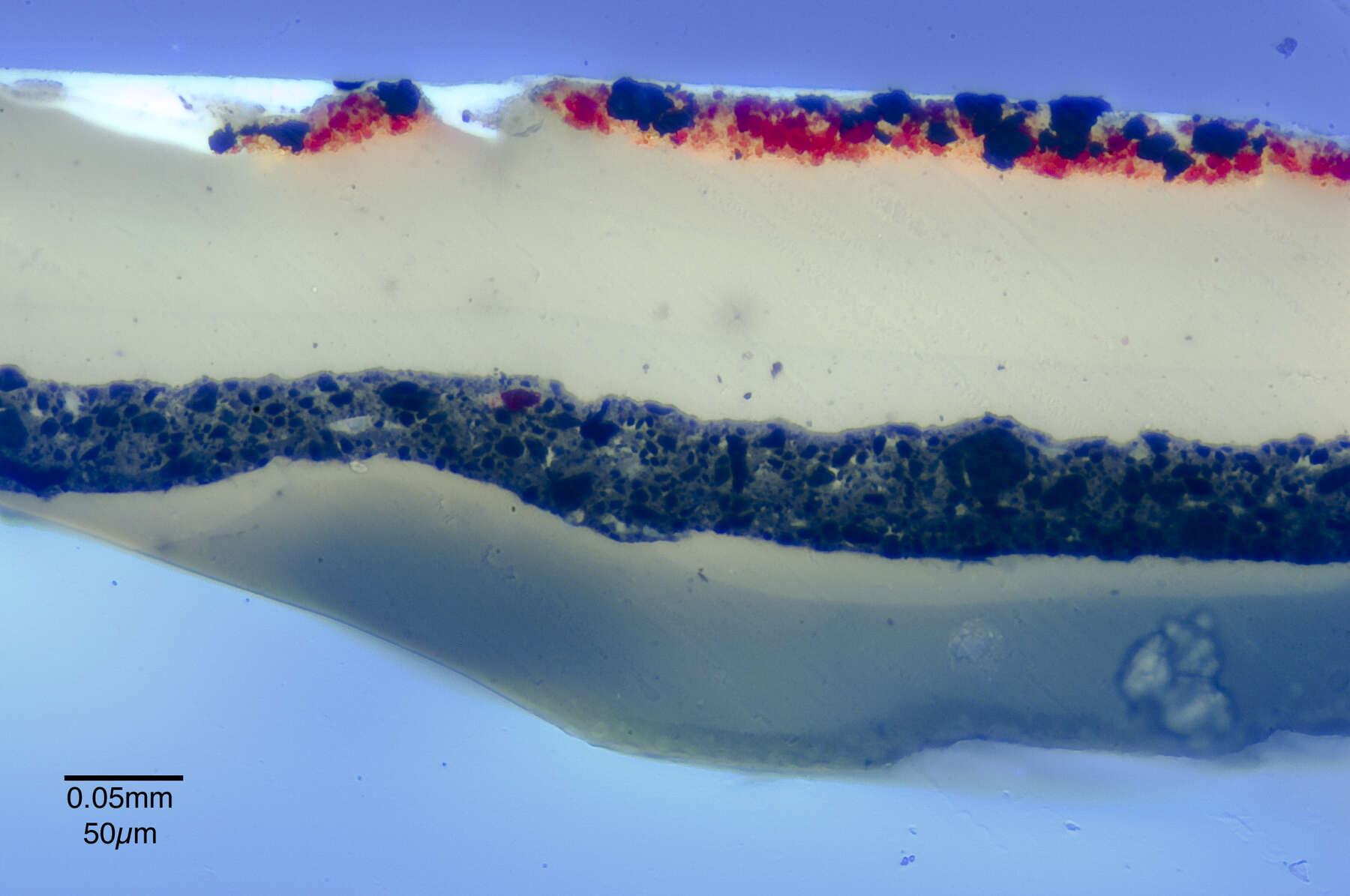 cross-section of a photomicrograph of the painted lacquer under ultraviolet light, revealing four distinct layers of lacquer: two dense white layers with a dark blue, mineral layer in between and a thin mineral layer of red and dark blue on top