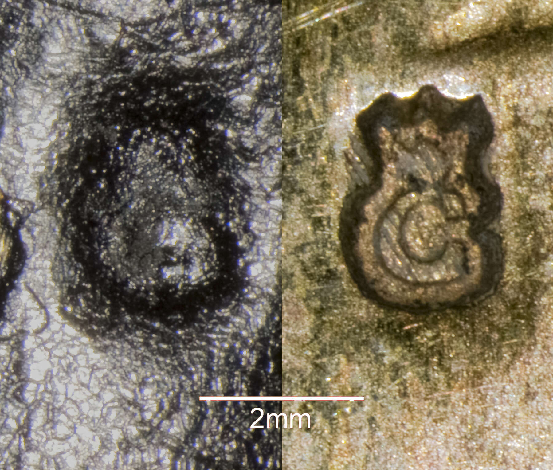 detail of two images of a tiny stamp of the letter C topped with a crown: the black-and-white image shows a stamp found on one of the Chinese figure’s feet and the other gold-toned image shows a stamp found on one of the gilt bronze mounts on the clock