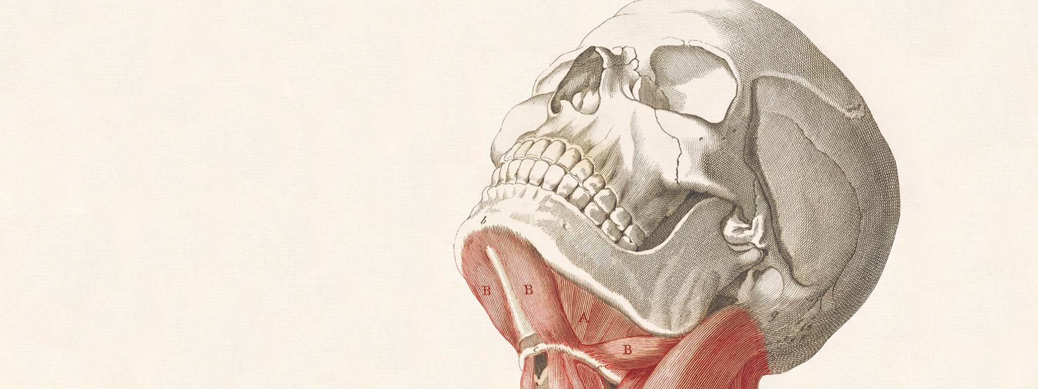 Flesh and Bones: The Art of Anatomy