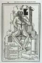 Estienne/Anatomical inset, corpse resting on ruins