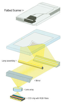 components of a flatbed scanner