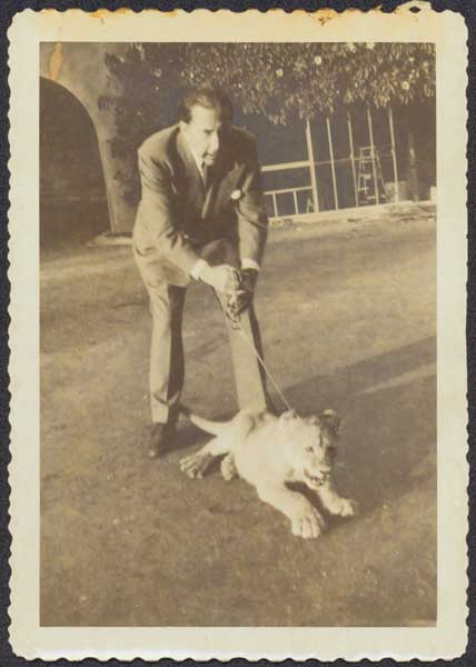 J. Paul Getty with lioness cub Teresa at his Malibu Ranch House.